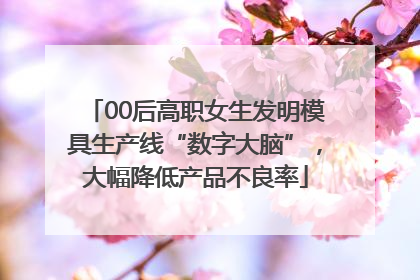 00后高职女生发明模具生产线“数字大脑”，大幅降低产品不良率